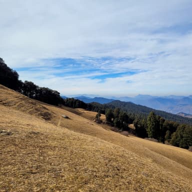 Kuppar Peak - Trail Run