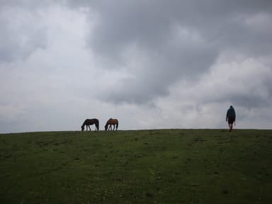 Lambri Meadows - Hike
