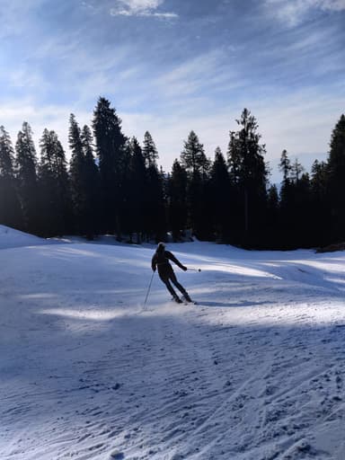 Skiing in Narkanda