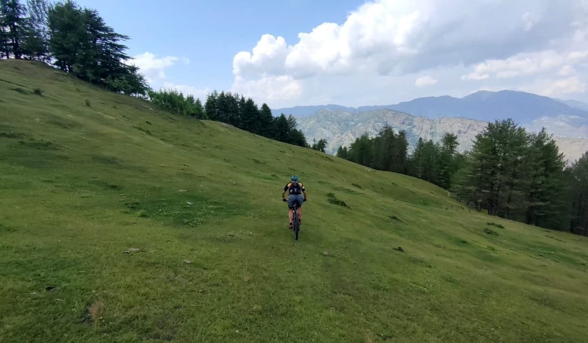 Trail view