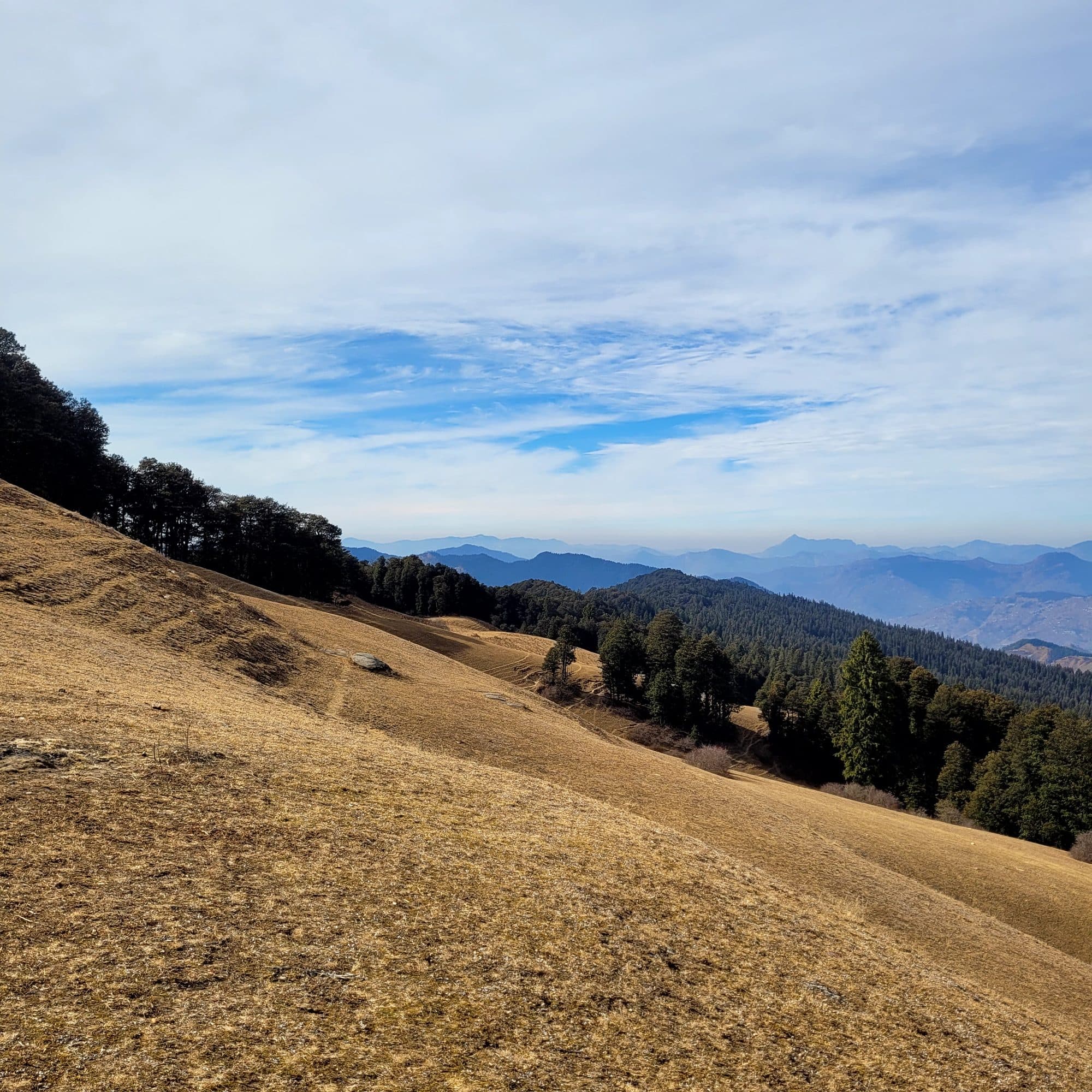 Kuppar Peak - Trail Run