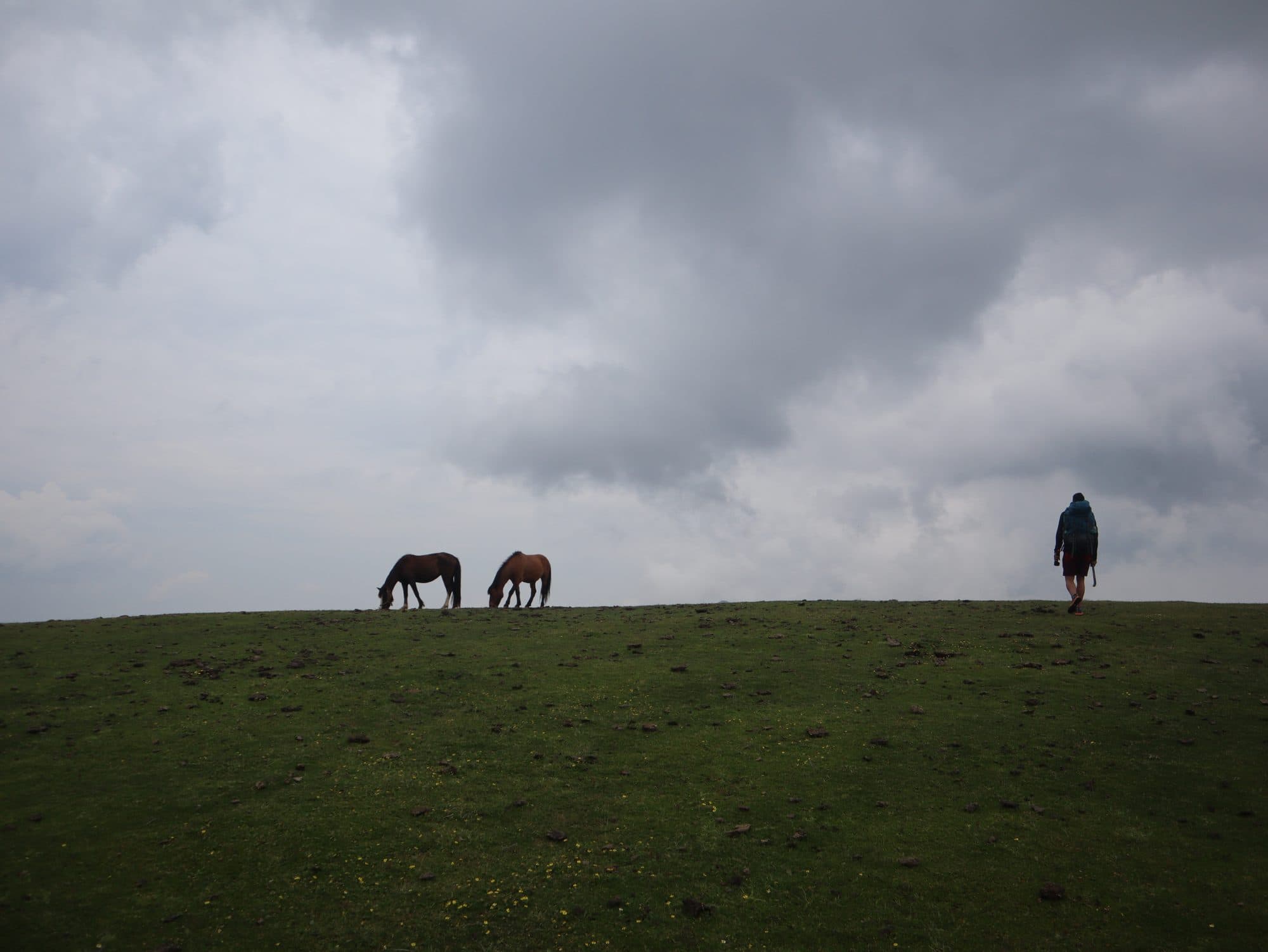 Lambri Meadows Fast Hike